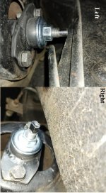 left right shocks.jpg left right shocks.jpg