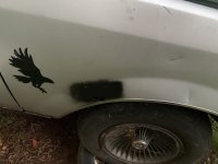 IMG_2816.jpeg