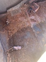 IMG_8917.jpeg