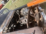 IMG_7719.jpeg