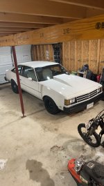 1979 Buick century