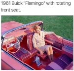 buick_flamingo.png